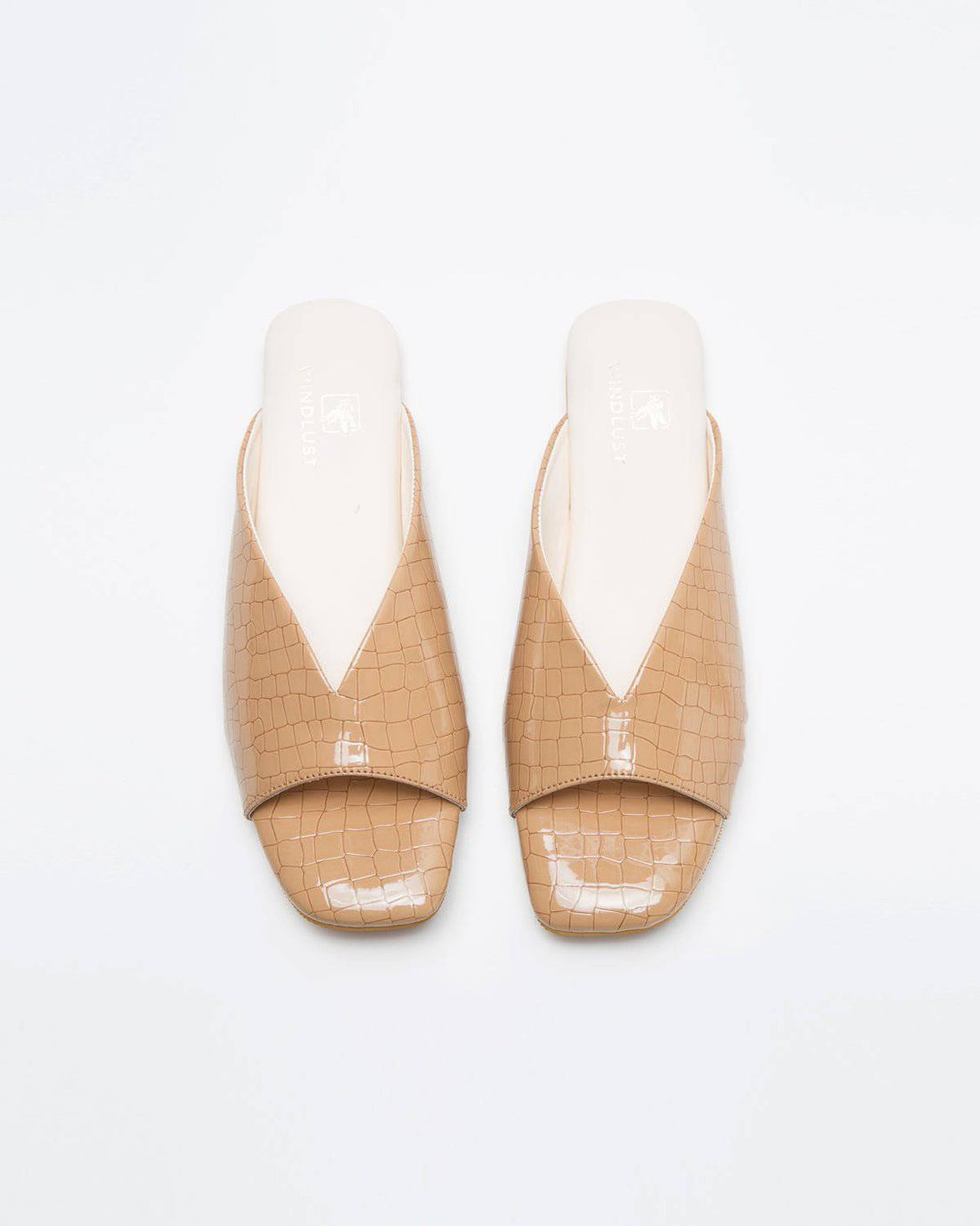 Beige Ergo Croc Leather Pattern Flats by Windlust with pointed toe and textured crocodile pattern on smooth leather.